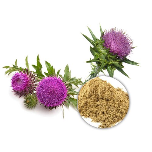 Viên uống bổ gan Milk Thistle Extract